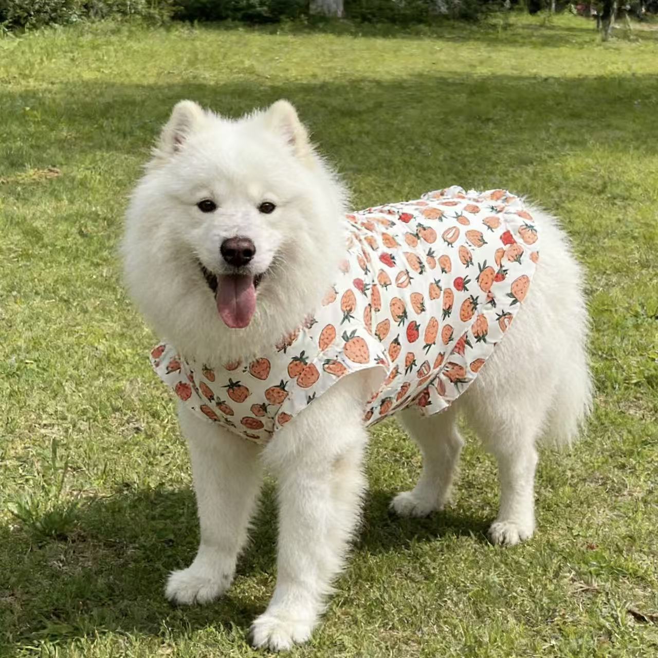 Kurivo Dog Printed Sleeveless Vest – Polyester Floral & Strawberry Print for Dogs